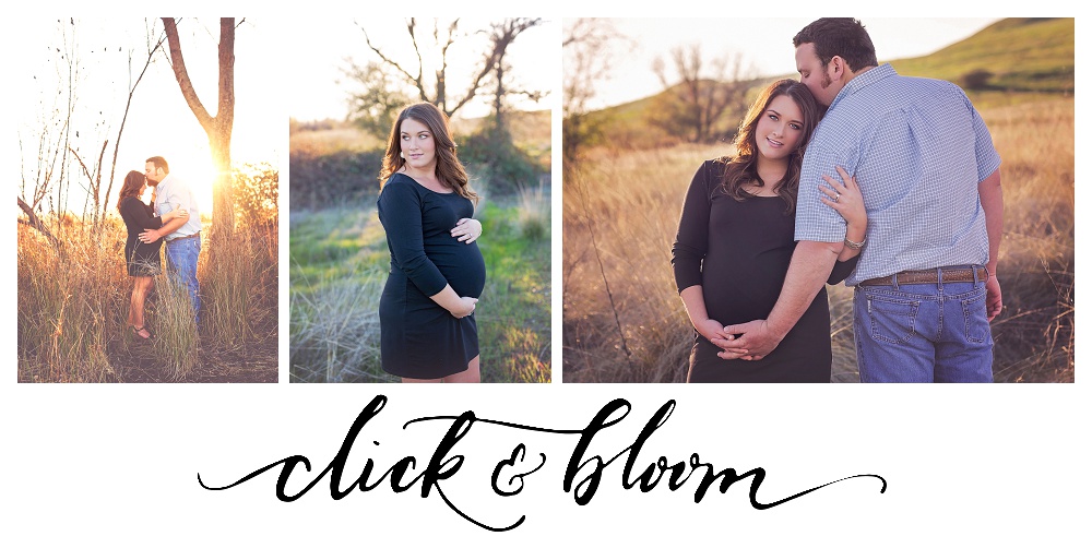 Click and Bloom Photography - Maternity