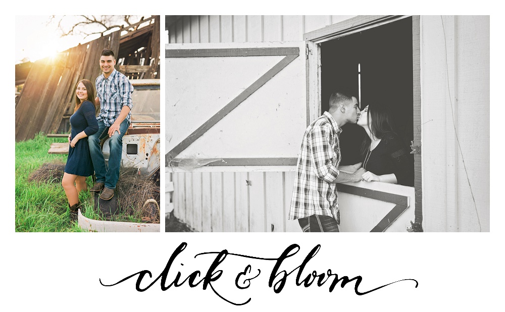 Click and Bloom Photography - Engagement