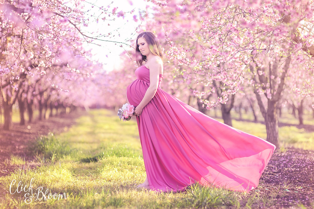 Click and Bloom - Maternity