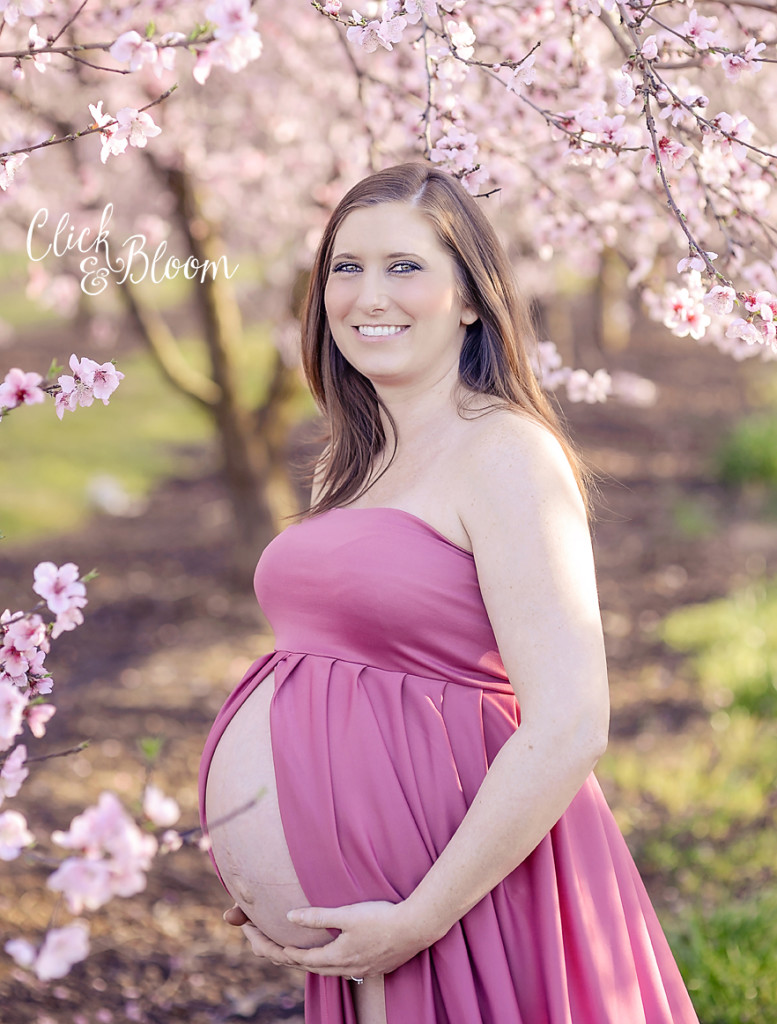 Click and Bloom - Maternity